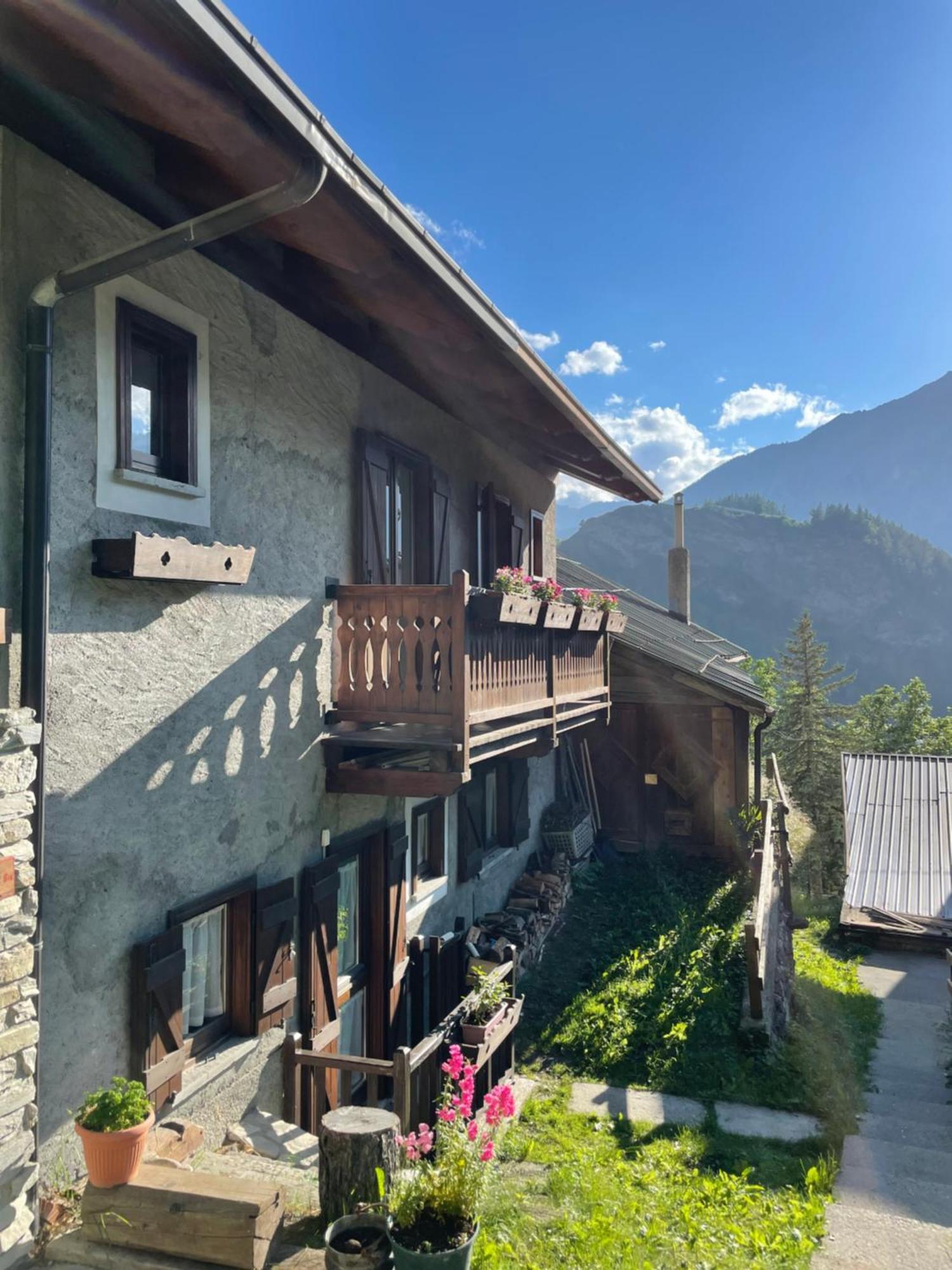 Chalet Bellevue 巴多尼奇亚 外观 照片